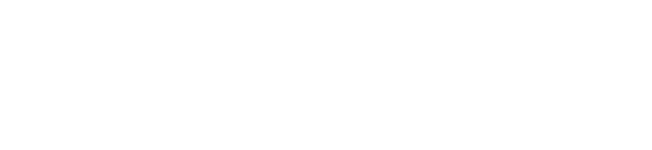 AIVY